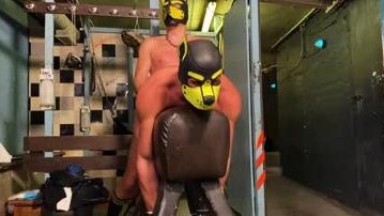 Dog masked fucked