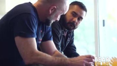 Bears fuck