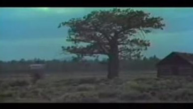 Sailor in the wild 2