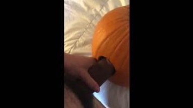 Pumpkin was fucked and filled with cum
