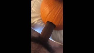 Pumpkin was fucked and filled with cum
