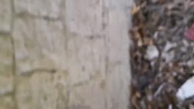 Sucking homeless black cock