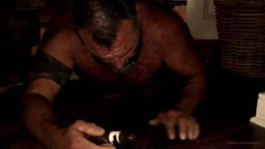 Hot bear cum covered